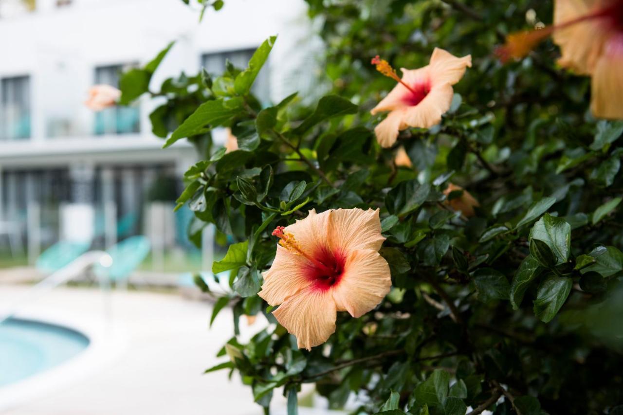 Terrigal Pacific Coastal Retreat Motel Exterior photo